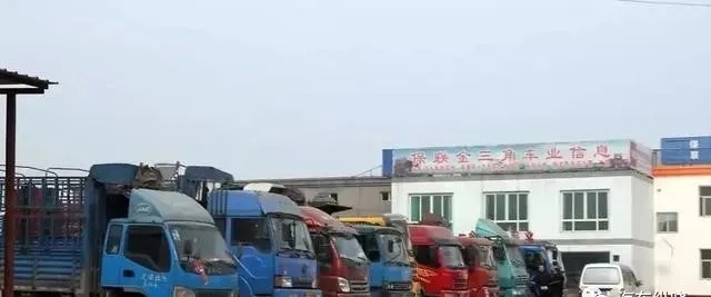 广州汽车报废